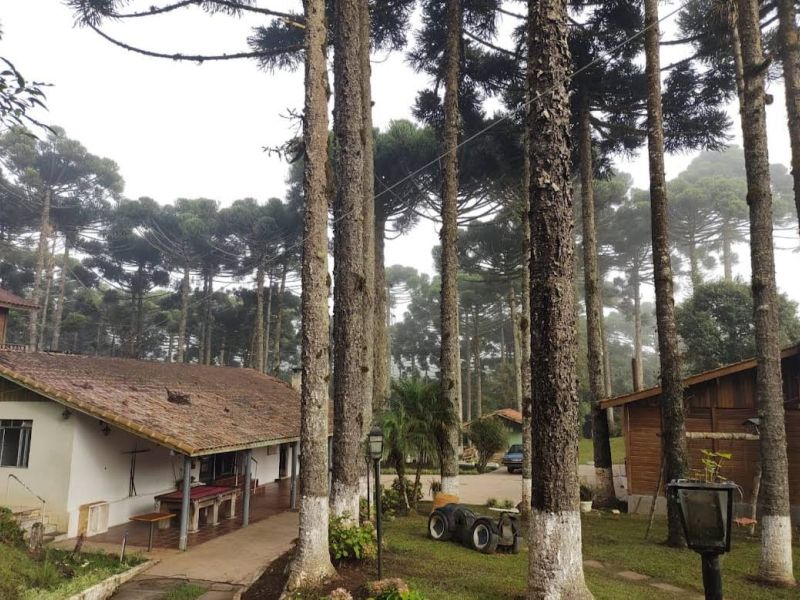 Espaço Terapêutico em Elói Mendes- MG - 0701332d2d7192c6a9fb42cfd7611b5f.jpg