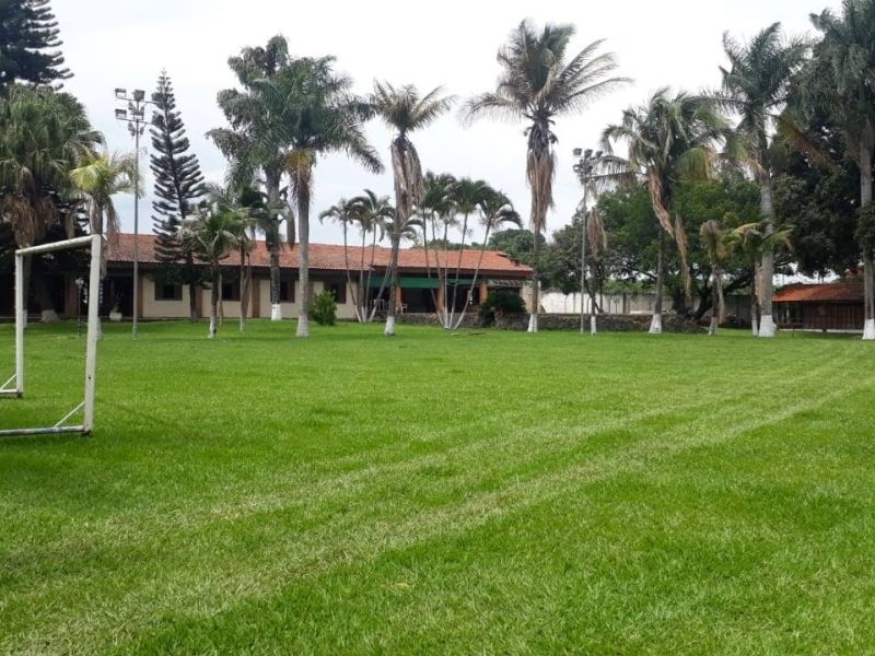 Espaço Terapêutico em Nova Veneza- GO - 08070828a3c4309c57ea80ffa08a37c1.jpg