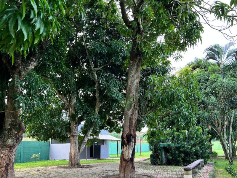 Espaço Terapêutico em Queimados- RJ - f3df3fc390c26726d129220b20bfb49a.jpg