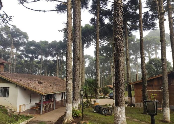 Espaço Terapêutico em Elói Mendes- MG