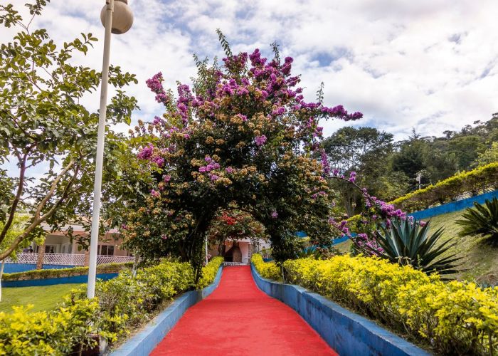 Espaço Terapêutico de Alto Padrão em Santa Catarina- SC